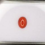 Natural Italian Coral Cabochon Cut 10x8mm 2.18ct Loose Gemstone