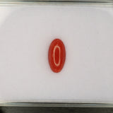 Natural Italian Coral Cabochon Cut 12x6mm 1.46ct Loose Gemstone