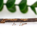 14K Solid Gold Lab-Created Diamond Martini Studs | Round 3mm