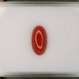 Natural Italian Coral Cabochon Cut 14.5x7.2mm 3.45ct Loose Gemstone
