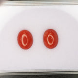 Natural Italian Coral Cabochon Cut 10x8mm 2.18ct Loose Gemstone