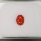 Natural Italian Coral Cabochon Cut 10x8mm 2.18ct Loose Gemstone