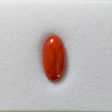 Italian Coral (N) CAB OV 14.1x7mm ~2.74cts - Single -IP.AP/ct
