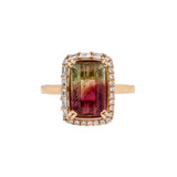 Josie 14K Yellow Gold Bi-Color Tourmaline and Diamond Halo Ring | Emerald Cut 12x8mm