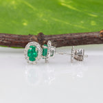 14K white gold emerald oval stud earrings with diamond halo