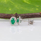 14K white gold emerald oval stud earrings with diamond halo