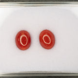 Natural Italian Coral Cabochon Cut 10x8mm 2.18ct Loose Gemstone