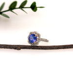 charlize 14k dual white rose gold 2.44cts tanzanite diamond ring | round 7mm