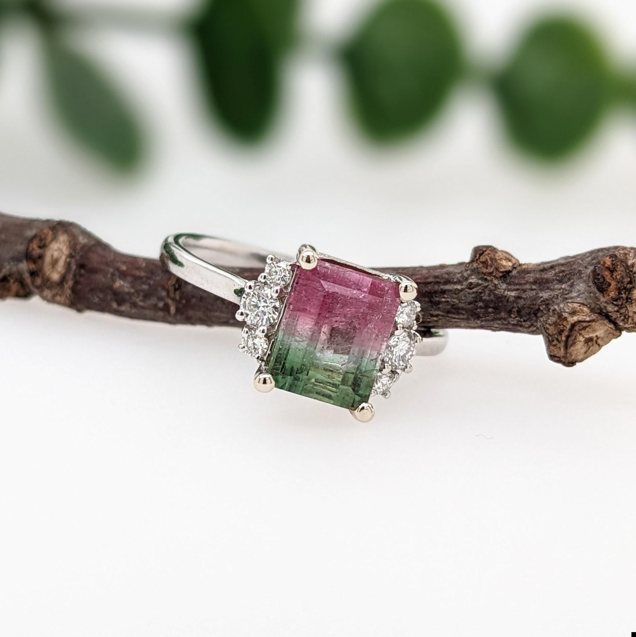 Fabulous Watermelon Tourmaline Ring in 14K White Gold w Natural Diamond Accents