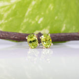 Liora | Peridot Four-Prong Stud Earrings in Solid 14K Gold - Oval, 7×5mm, August Birthstone Studs