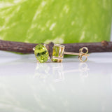 Liora | Peridot Four-Prong Stud Earrings in Solid 14K Gold - Oval, 7×5mm, August Birthstone Studs