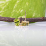 Liora | Peridot Four-Prong Stud Earrings in Solid 14K Gold - Oval, 7×5mm, August Birthstone Studs