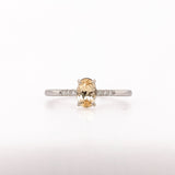 Minimalist Ring Setting W Earth Mined Diamond Accents in 14K Solid Gold | Customizable