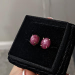 Star Ruby Stud Earrings in Solid 14K Yellow Gold | Oval 10x8mm | Solitaire Studs