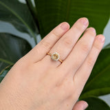 Atika 14K Solid Gold Ring Semi-Mount with Natural Diamonds | Round 5mm
