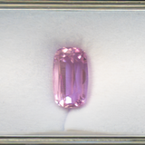 Natural Kunzite, Untreated 10.65ct Cushion Cut 16x9.3mm - Collector Quality Loose Gemstone