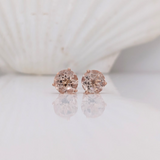 Peach Morganite Martini Prong Studs in Solid 14K Gold | Round 6mm