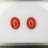 Natural Italian Coral Cabochon Cut 10x8mm 2.18ct Loose Gemstone