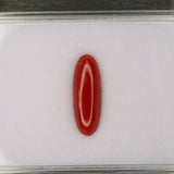 Natural Italian Coral Cabochon Cut 18.4x6.4mm 3.74ct Loose Gemstone