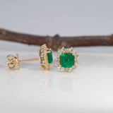 14K yellow gold colombian emerald earrings
