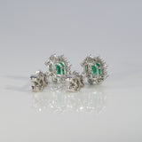 14K white gold colombian emerald earrings