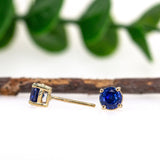 5mm Round - 14K Gold AAA Ceylon Sapphire Solitaire Studs