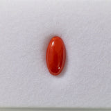 Italian Coral (N) CAB OV 12x6mm ~1.46cts - Single -IP.AP/ct