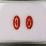 Natural Italian Coral Cabochon Cut 12x6mm 1.46ct Loose Gemstone