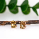 14K Gold Cambodian Champagne Zircon Studs | Oval 7x5mm