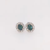Katie 14K White Gold Alexandrite and Diamond Accents Earrings | Oval 5x4mm