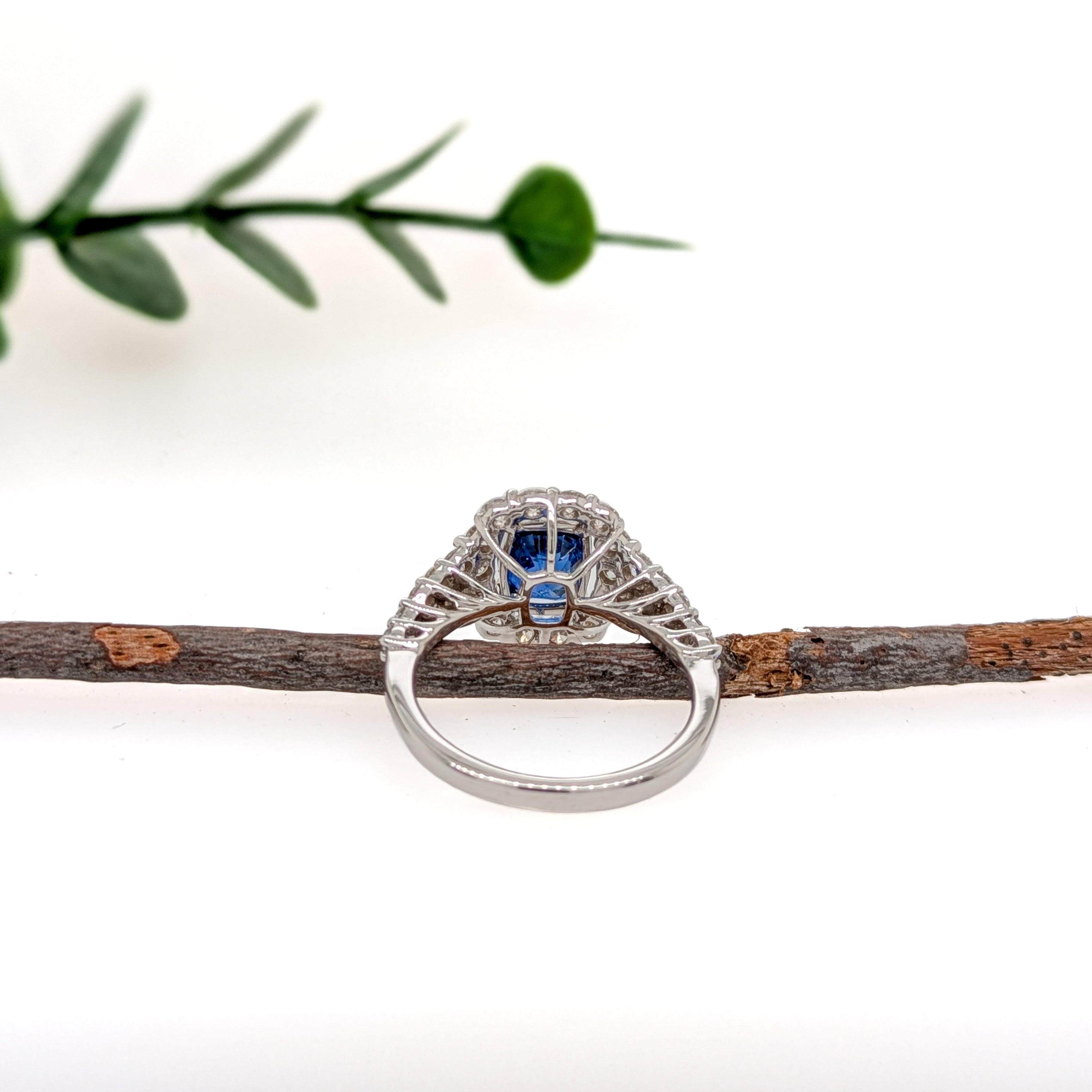 Hanshika 14K White Gold 2.18cts Ceylon Sapphire Diamond Ring | Cushion 8x6mm