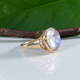 14K yellow gold rainbow moonstone cabochon ring with diamonds