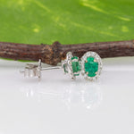 14K white gold emerald oval stud earrings with diamond halo