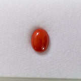 Italian Coral (N) CAB OV 10x8mm ~2.18cts - Single -IP.AP/ct