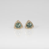14K yellow gold montana sapphire earrings
