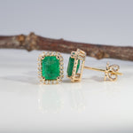 14K yellow gold zambian emerald earrings