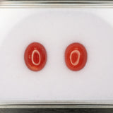 Natural Italian Coral Cabochon Cut 10x8mm 2.18ct Loose Gemstone
