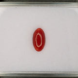 Natural Italian Coral Cabochon Cut 12x6mm 1.46ct Loose Gemstone