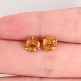 Citrine Martini Prong Studs in Solid 14K Gold | Round 4mm 5mm 6mm
