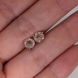 Peach Morganite Martini Prong Studs in Solid 14K Gold | Round 6mm