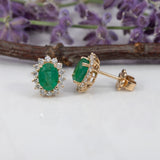 14K yellow gold zambian emerald earrings