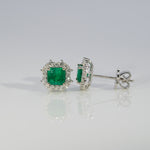 14K white gold colombian emerald earrings