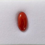 Italian Coral (N) CAB OV 14.5x7.2mm ~3.45cts - Single -IP.AP/ct