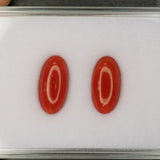 Natural Italian Coral Cabochon Cut 14.1x7mm 2.74ct Loose Gemstone