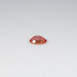 1.25 carat natural Ceylon padparadscha sapphire oval 7.4x6mm loose gemstone – view 4