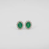 14K yellow gold zambian emerald earrings