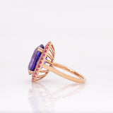 Nola 14k Dual Gold Tanzanite Ring with Natural Diamonds and Pink Sapphire Accents | 11x8mm