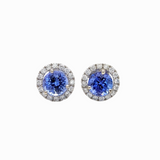 Tanzanite Diamond Halo in 14K Gold Round Earrings 6mm, Deluxe Portuguese Cut Tanzanite with AAA color/ December Birthstone