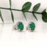 Stud Earrings-Vibrant Green Emeralds in 14K White Gold w Pave Diamond Halo | Oval 7x5mm | May Birthstone | Staple Earrings | Daily Wear | Secure Push Back - NNJGemstones