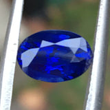 Gemstones-Medium-Dark Royal Blue Sapphire Natural Gemstone | Oval 8x6x4.5mm | Heat Only | Blue Jewelry Center Stone | September Birthstone | 2 Carats - NNJGemstones